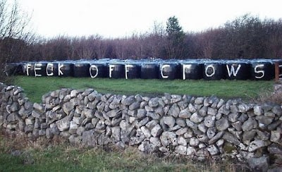 Writing messages to crows is one of the first signs of madness. If a farmer writes on his silage bails, please please, return to your vehicle and keep driving.